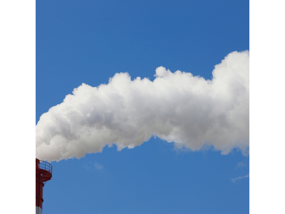 Очищення повітря від дима і запаха